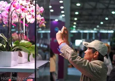 High end orchids under LEDs at the philips booth.