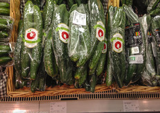 Locally grown cukes from Shanghai Green Leaf Agri-tech Co.Ltd for 1.50 USD per two.