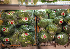 The same broccoli is offered in convenience packaging and as single packs.