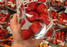 Strawberries are sold for 8 USD per pack.