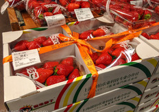 Or a box with 4 packs for 23.90 USD.