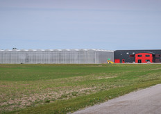 Roelands Plant Farms is located near Lake Huron; thanks to this they benefit from a cool breeze during Ontario’s harsh summer climate (hot days, warm nights) but during the extremely cold winter months the temperature also tends to stay a few degrees above average.