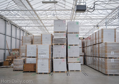 Roelands has a large amount of propagation media in stock. They propagate on both Grodan or Cultilene blocks, depending on the customers preferences. It is also possible to propagate on coir blocks.