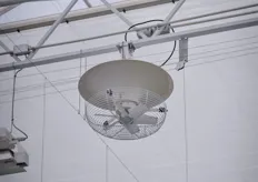 These Vertical V-Flo Fans from Vostermans are used to generate a uniform climate, while at the same time they save energy by pushing warm air back into the crop and driving the humidity out.