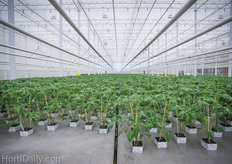 Roelands' automation can handle any block size.