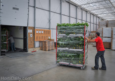 Sometimes they also ship to growers in the South; they even have customers in Florida.