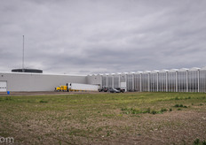 The greenhouse is located at Bloomfield Road in Chatham-Kent. The warehouse on the left houses all the CO2 and heat distribution technology.