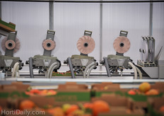 These sticker machines are able to sticker each single tomato before they are shipped to the customers.