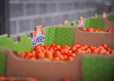 Besides the tomatoes on the vine, also the snack tomato Angel Sweet is grown.