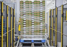 An automated palletizer prepares the shipment safely.