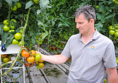 Tamminga is very happy with Endeavor as a variety; it provides them a heavy fruitweight (150-160grams!) and beautiful uniform settings, even under hot conditions.