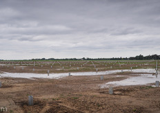 We wish Truly Green all the best with the expansion of their greenhouse and would like to thank them for touring us!