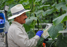 All workers are familiar with using the HortiMax productive labor management system. As the work at the greenhouse continues 7 days per week, it is a very efficient tool for Neufeld to register the productivity, even on days when there is no supervisor at the greenhouse.