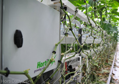 This is the heart of the ProDrain irrigation system from HortiMaX; a very keen and precise irrigation control system that allows the grower to optimise his watering and cultivation strategy. Between two posts, the entire gutter is standalone and measured / weighted by load cells that are integrated in the construction.