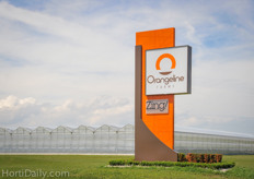 In 2013, Leamington based Orangeline Farms started to market their own produce under the Zing! Healthy Foods brand.