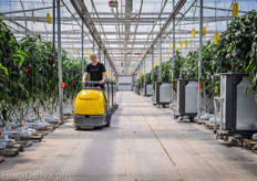 Bogaerts powerbees and harvesting trolleys are used for the internal transport of the freshly picked harvest.