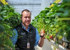 Duffy proudly showed us Orangeline’s strawberry greenhouse were they grow the red gold year round with the help of LED flowering bulbs from Philips. “It is nice to look at something else!”