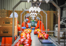 At the packing house, the produce is carefully sorted and graded.