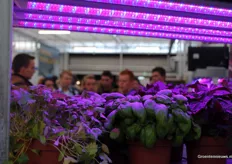 Explanation about the LED installations of Green Simplicity by Wessel van Paassen