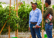 An even larger selection with high tech crops on display this year.