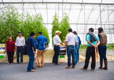 The demo with the high wire tomatoes.