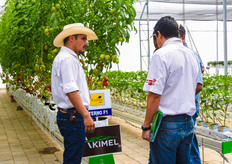 Each seed breeder had an accountant available in the demo areas. FormFlex sponsored the gutter systems, while Forteco and Peatfoam supplied the substrates.