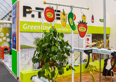 Italian gutter system from P-TRE