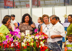 The orchids from Anthura always receive a lot of attention.