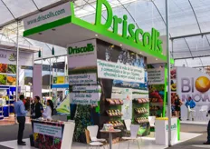 Berry grower Driscolls is also looking at recruiting more Mexican growers.