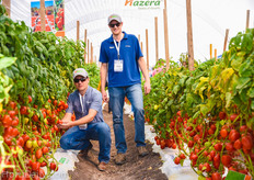 Dutchman Ben de Nijs (right) at the tunnel demo of Hazera.