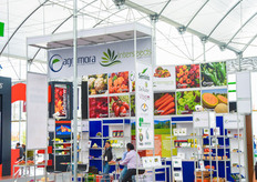 AgriMora Interseeds.