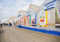 TAPSA developed the Syngenta demo house.