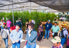 The Nunhems demo greenhouse.