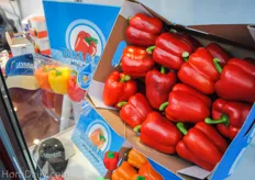 Levarht exports peppers to the US