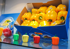 And they have the coolest USB-sticks of the exhibition