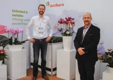 Marco Knijnenburg and Arturo Flores with Anthura's phalaenopsis varieties. One of the scarce moments that their stand wasn't filled with enthusiastic flower admirers.