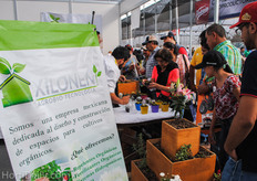 The Xilonen Cactuses were very popular amongst visitors
