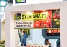 Sylviana F1 is one of the major varieties for the Turkish market by Enza Zaden / AG Tohum