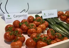 Carpenter of Gautier also has become an important variety for the Turkish greenhouse industry.