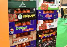 A selection of Turkish tomato brands.