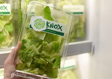 Rijk Zwaan was promoting their KNOX lettuce this year.
