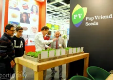 Action-time at Pop Vriend Seeds