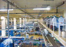 A large amount of present day automation and sorting and packaging equipment is used at Greenpak 24 hours a day, seven days a week, to prepare freshly harvested products for fast shipment to the end user.