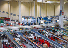 These lines sort loose cherry and plum tomatoes on color, size and weight before they're being packed in shakers, clam shells and other special packages.
