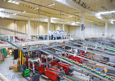 In total, GreenPack has 40 packing lines.