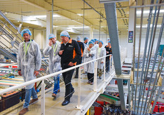 Later in season, also cucumbers and peppers will be processed and packed here. At the moment of visiting, they're not in season.