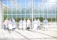 The greenhouse is 10 hectare and was opened in 2013.