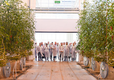 This greenhouse was the first and still is the only Ultra-Clima greenhouse in the Netherlands.