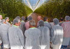 The greenhouse works with overpressure and air tubes. Air is drawn into the greenhouse, conditioned in the mixing chamber and then distributed throughout the structure via tubes under the crop gutters
