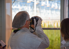 Diffuse glass with a special anti-reflection coating ensures that the light is better distributed in the greenhouse and is kept within the greenhouse.